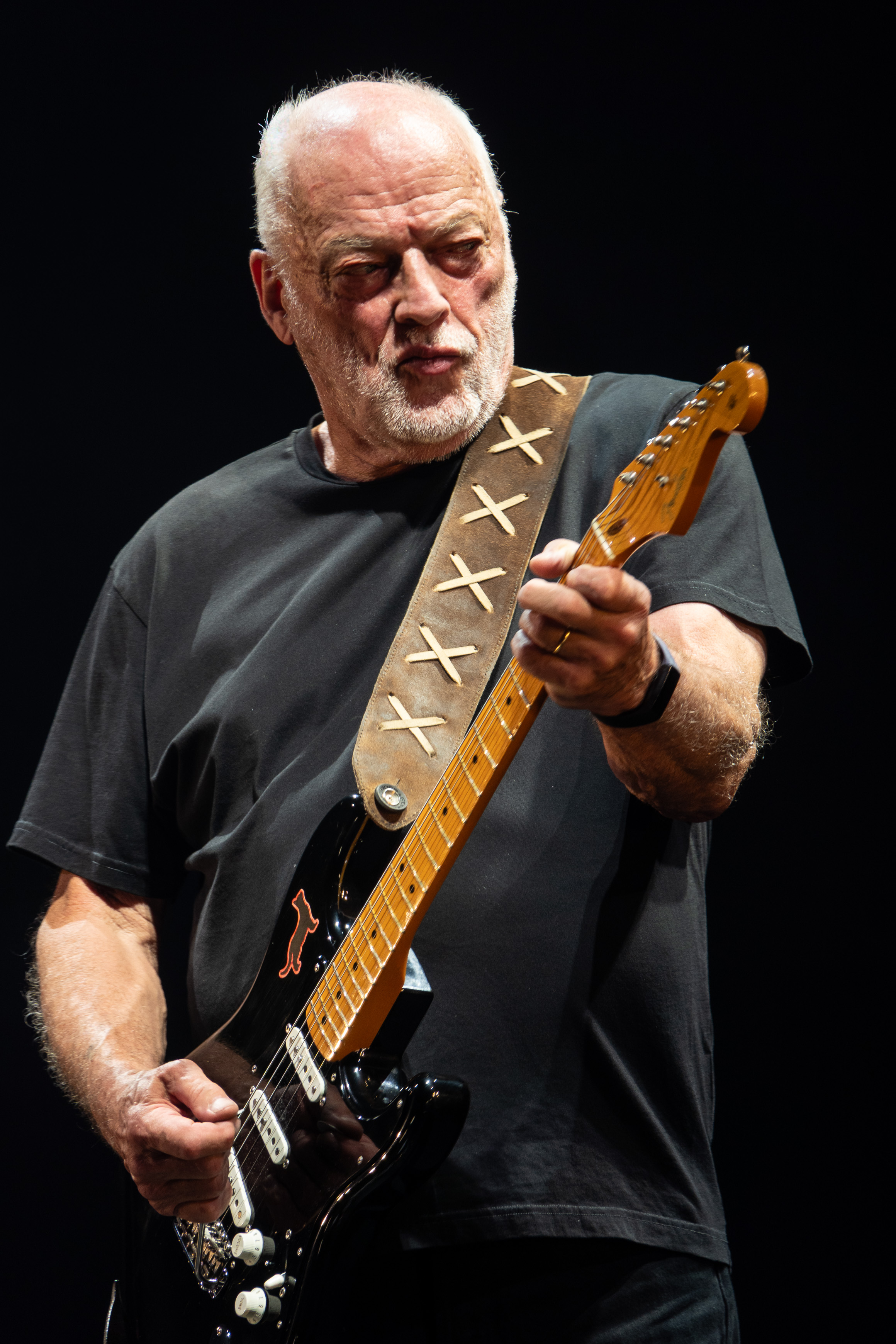 David Gilmour