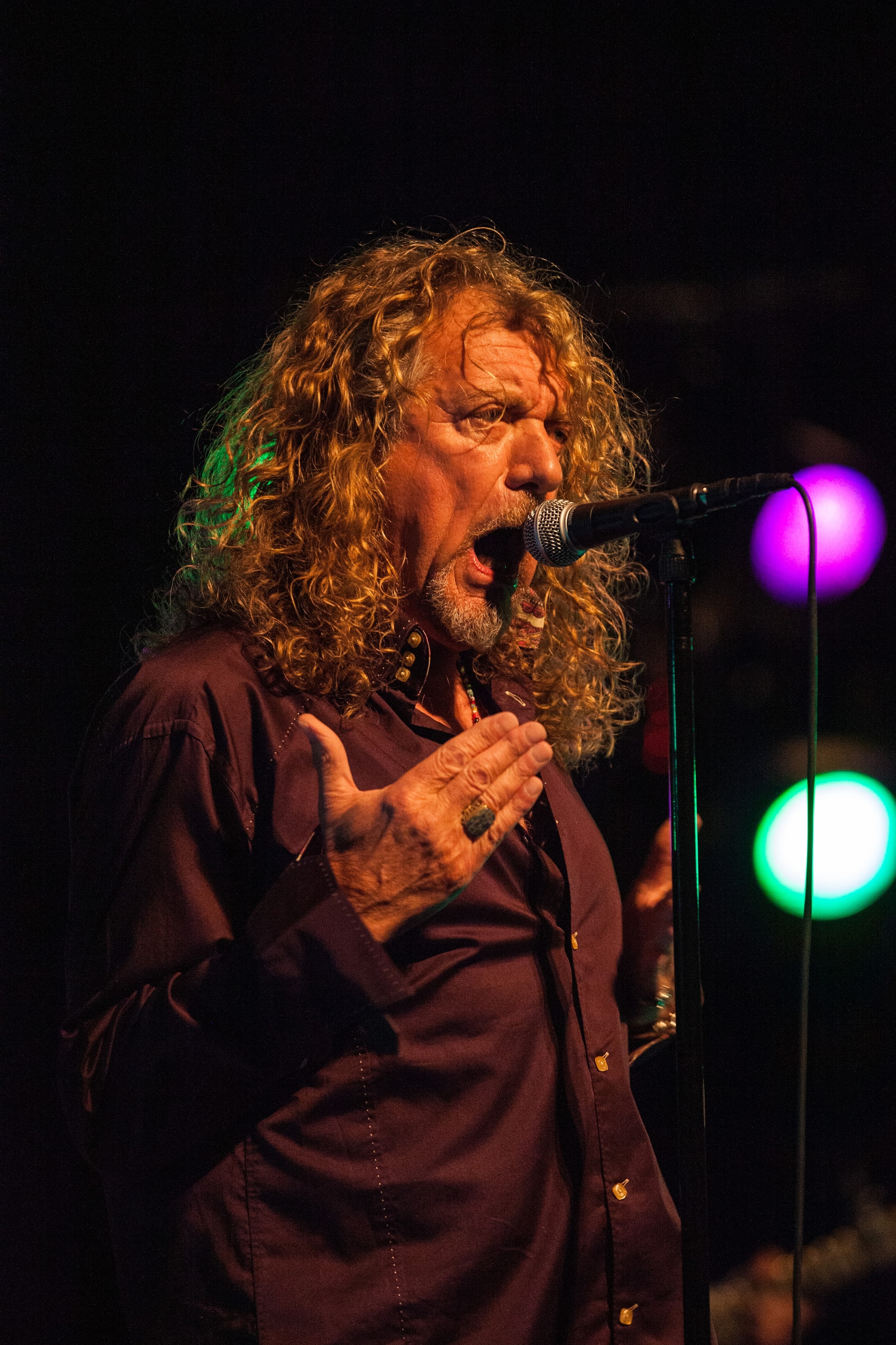 Robert Plant
