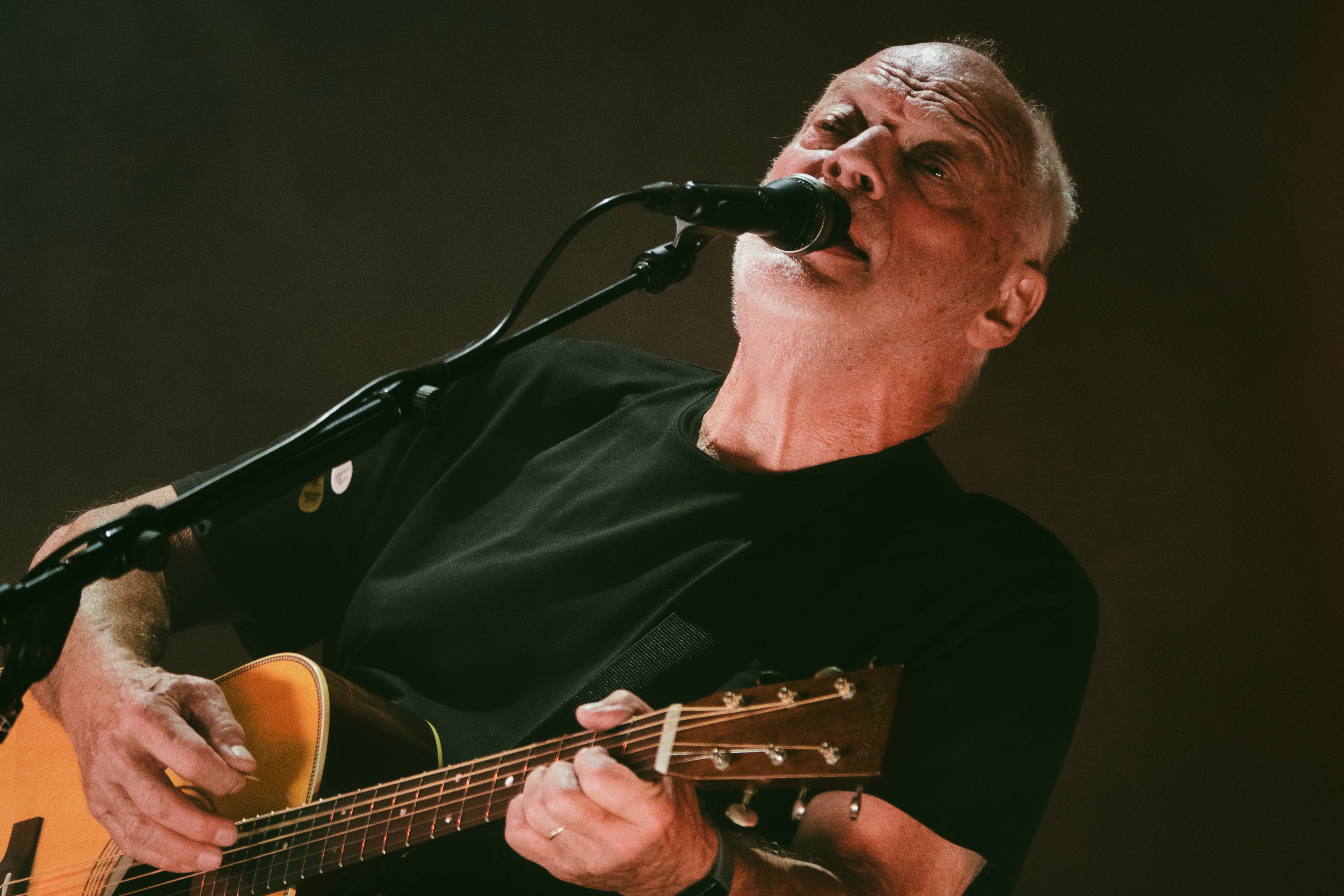David Gilmour