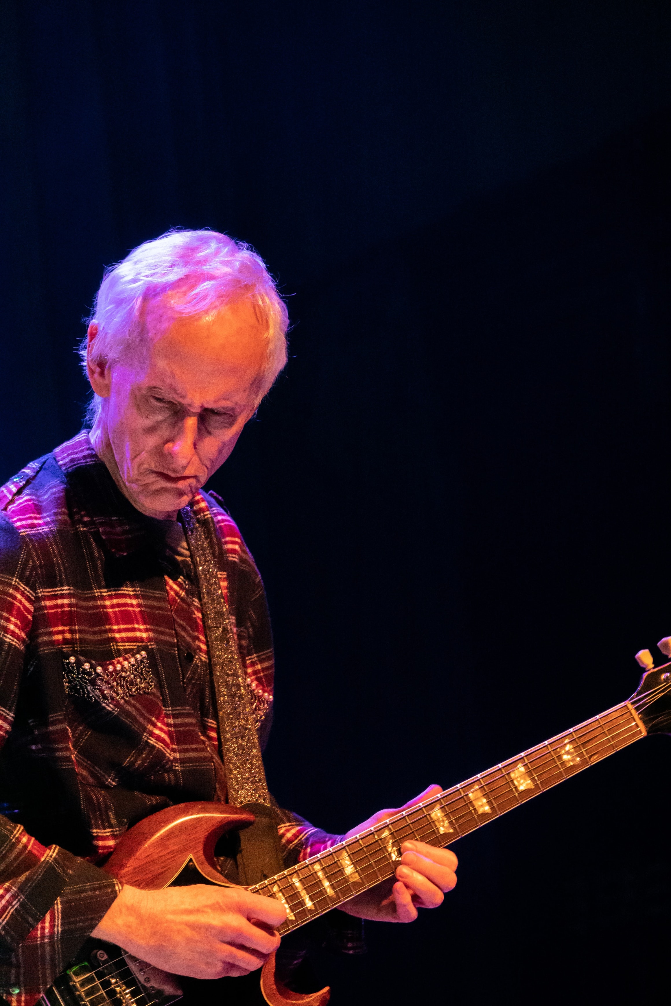 Robbie Krieger's Doors