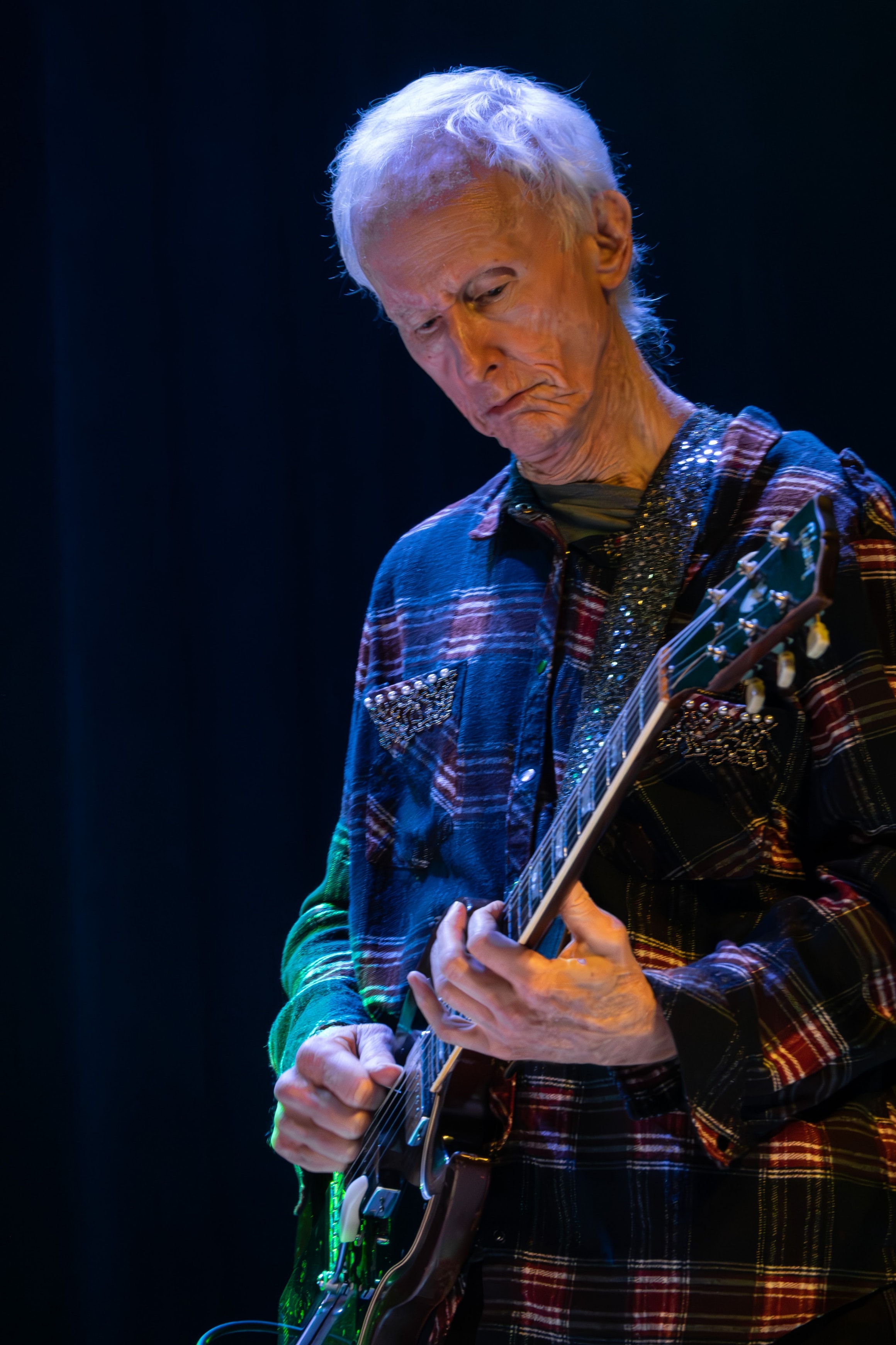 Robbie Krieger's Doors