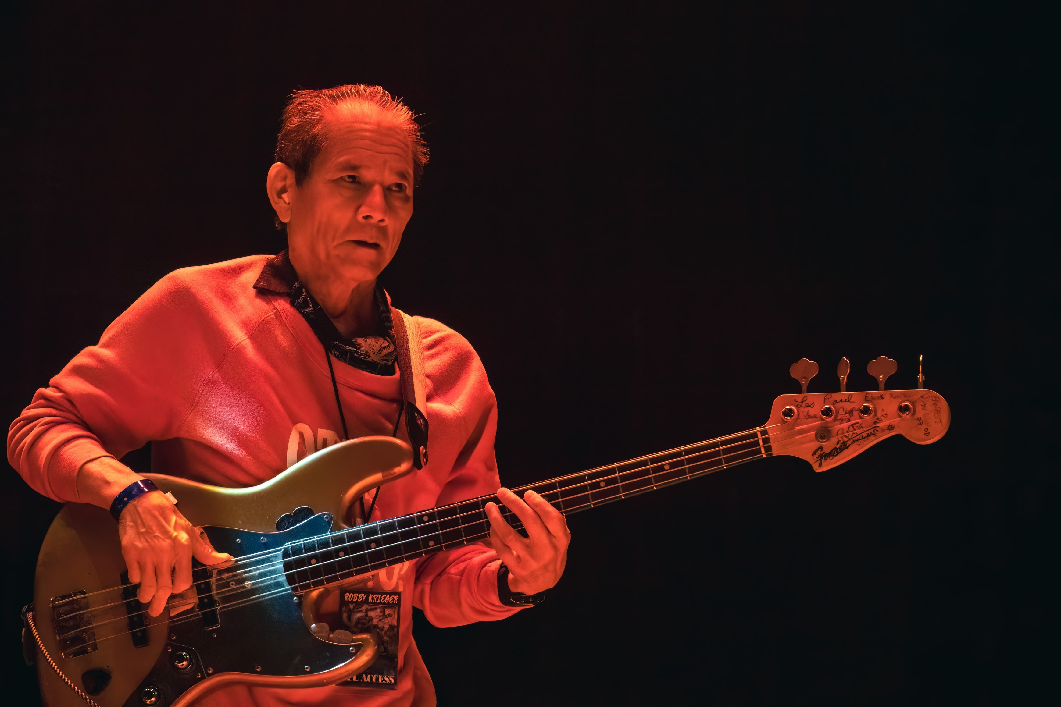 Robbie Krieger's Doors