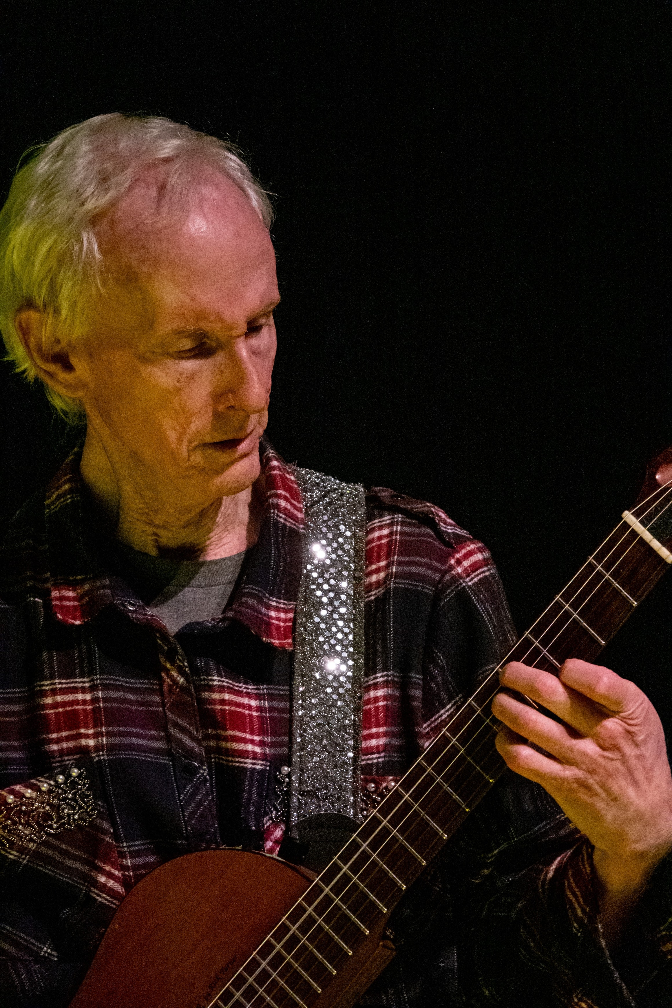 Robbie Krieger's Doors