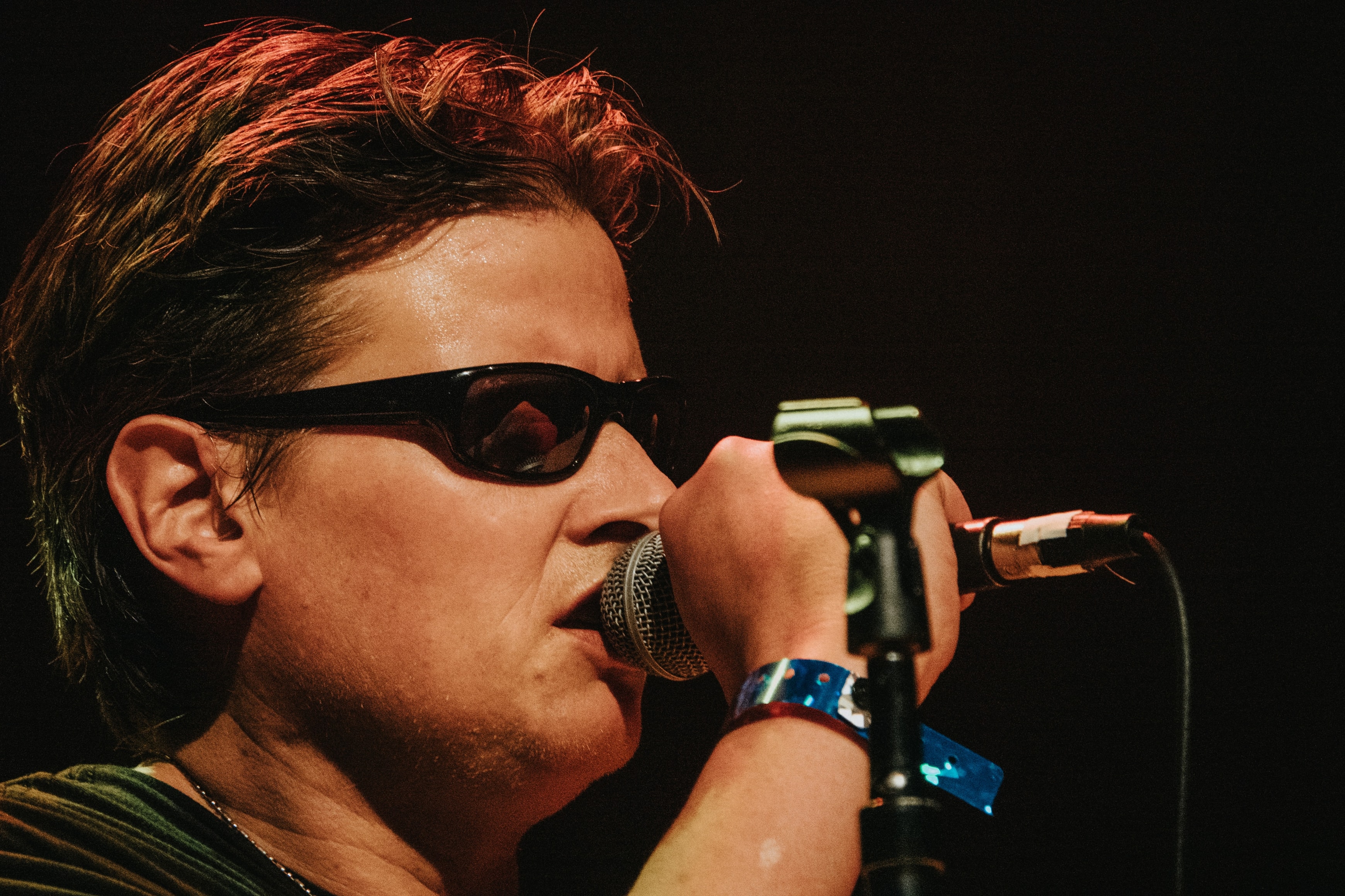 Robbie Krieger's Doors