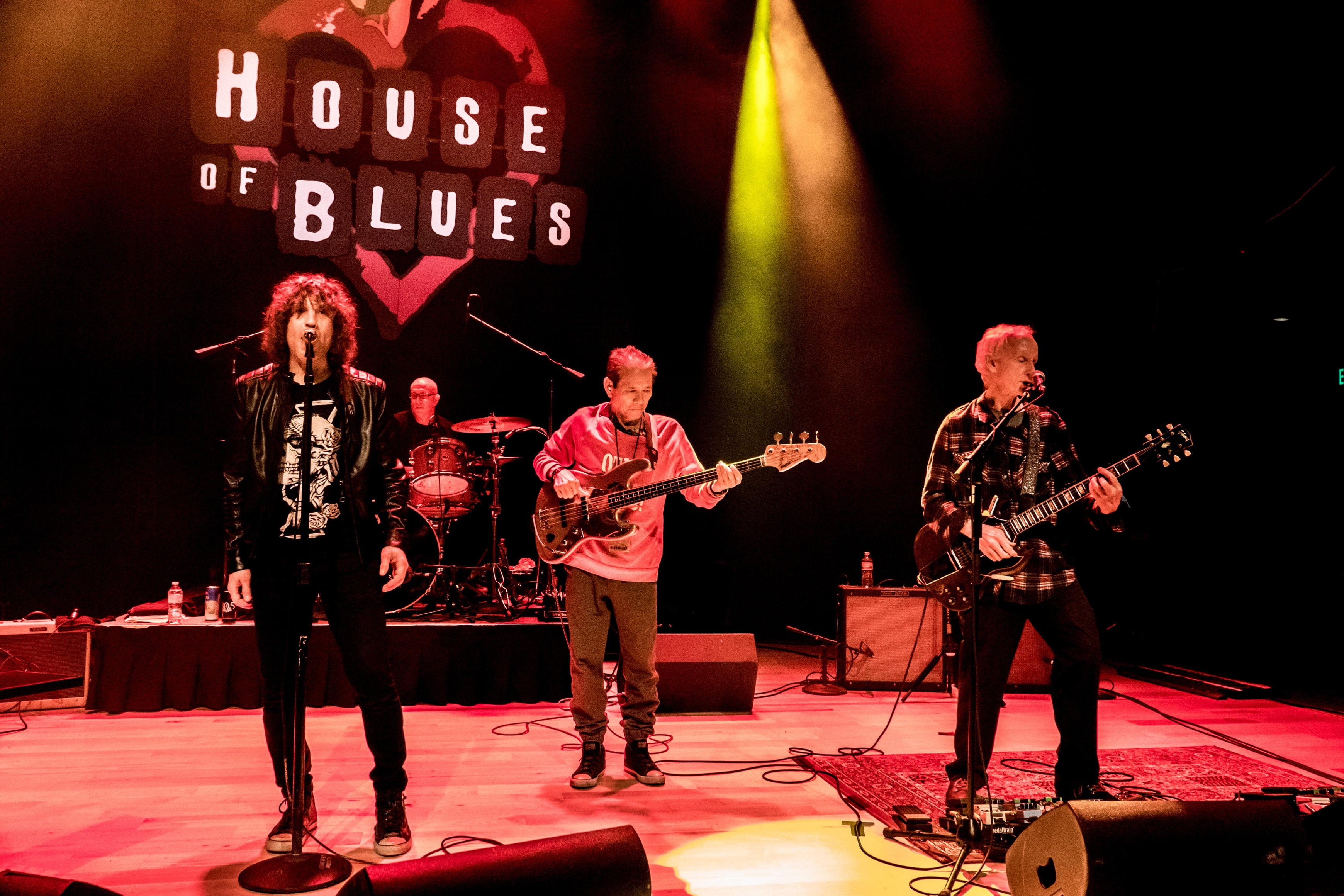 Robbie Krieger's Doors