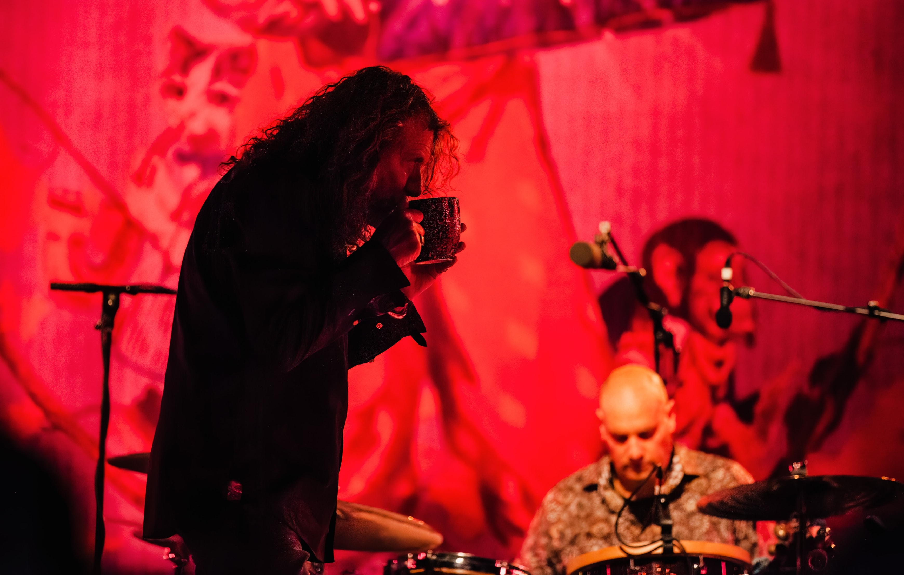 Robert Plant & Band of Joy